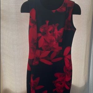 Calvin Klein Dress. Floral Print. Black &Red